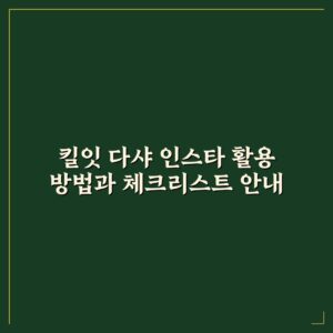 킬잇 다샤 인스타 활용 방법과 체크리스트 안내