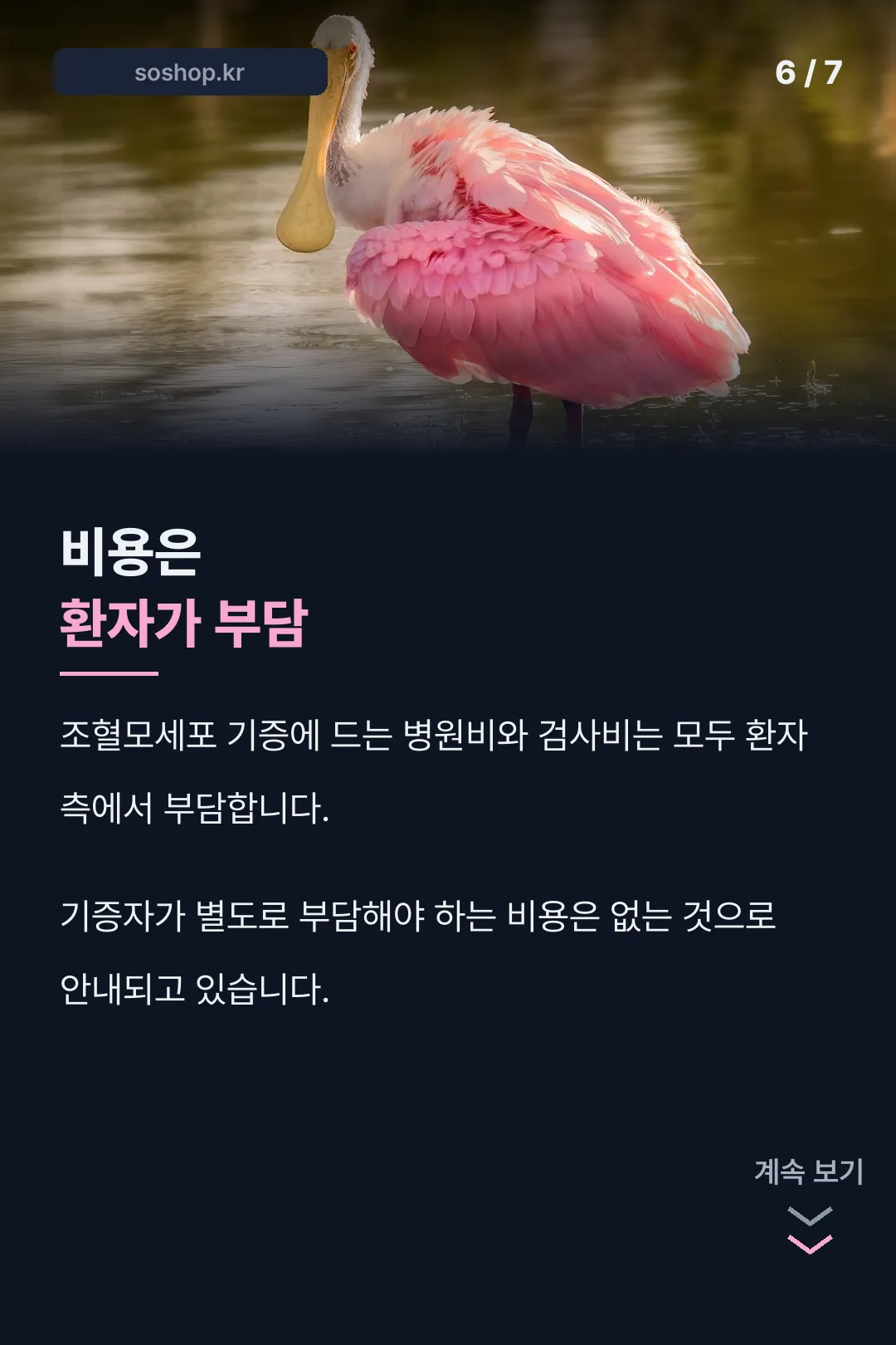 비용 부담 안내