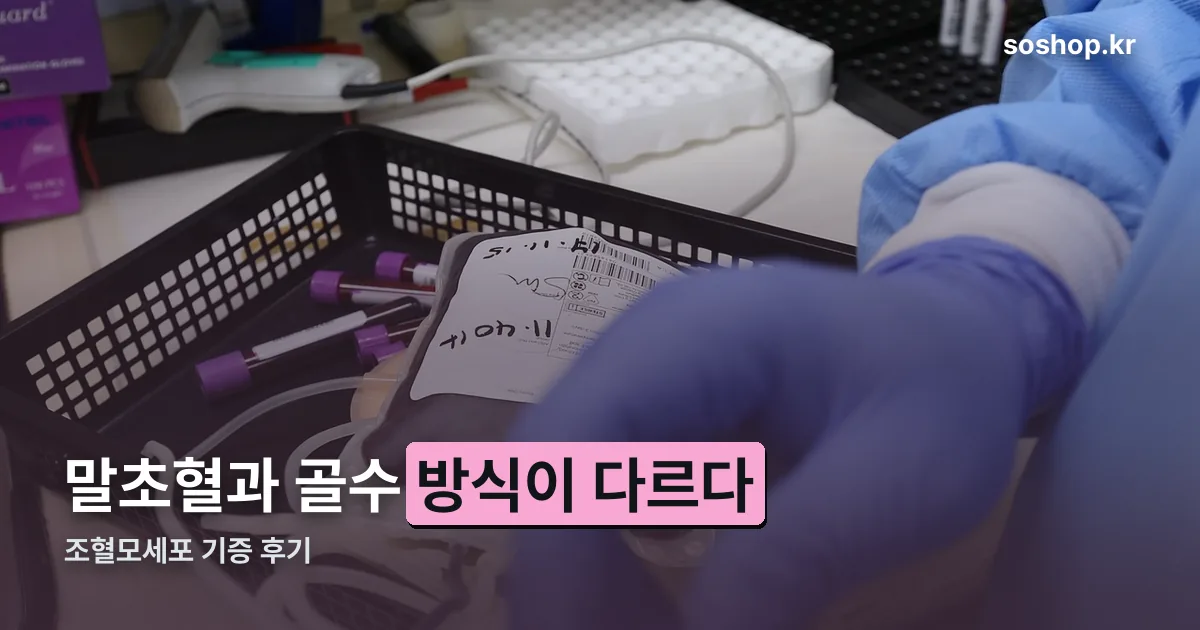 조혈모세포 기증 후기 정리 썸네일