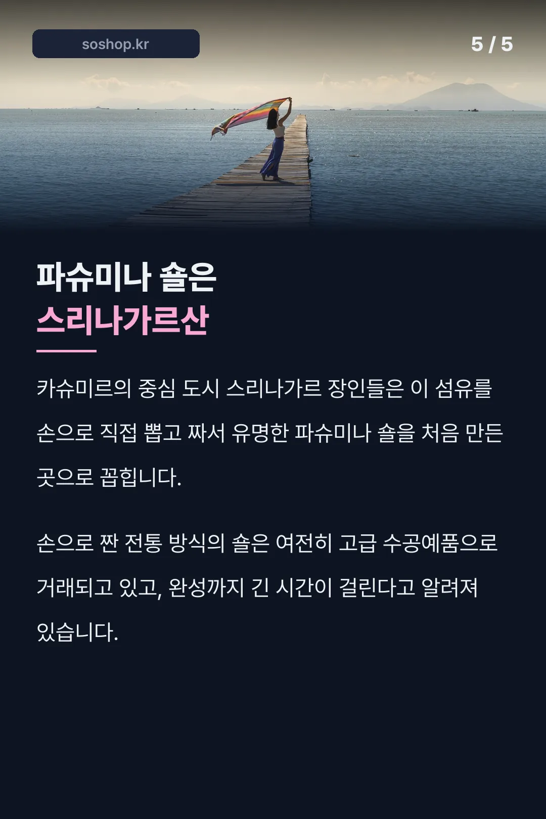 파슈미나 숄의 고향