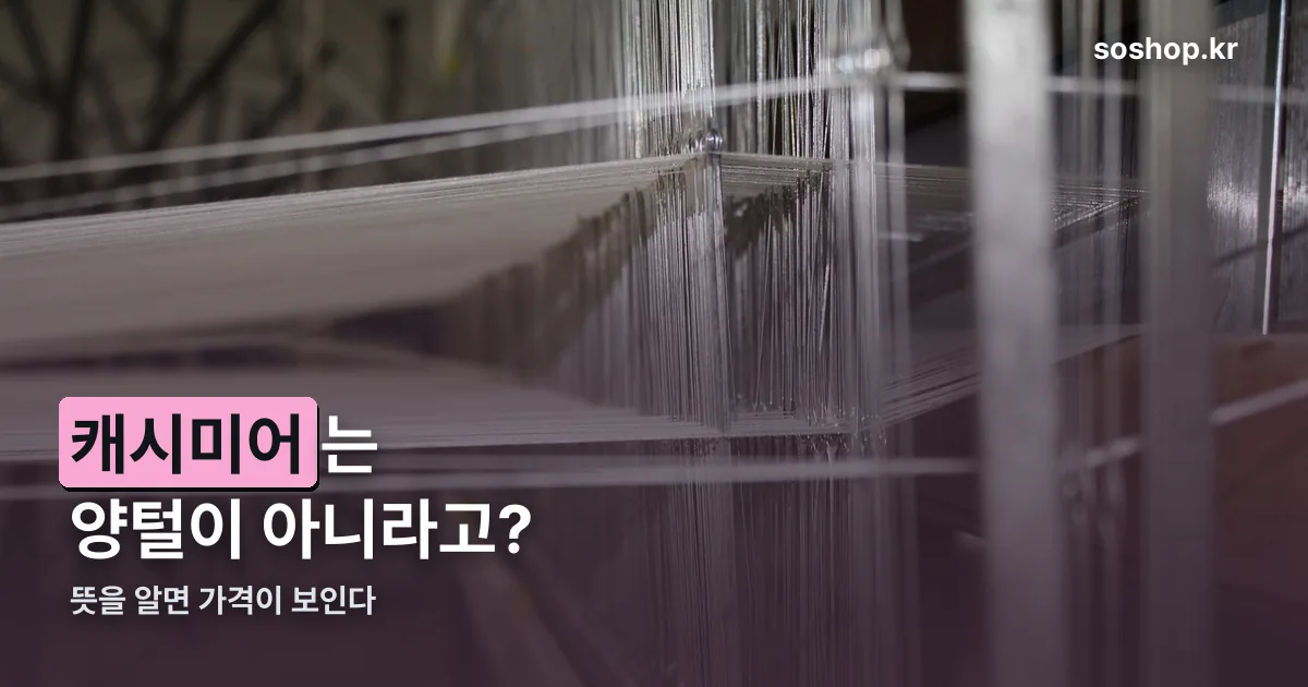 캐시미어 뜻 정리 썸네일