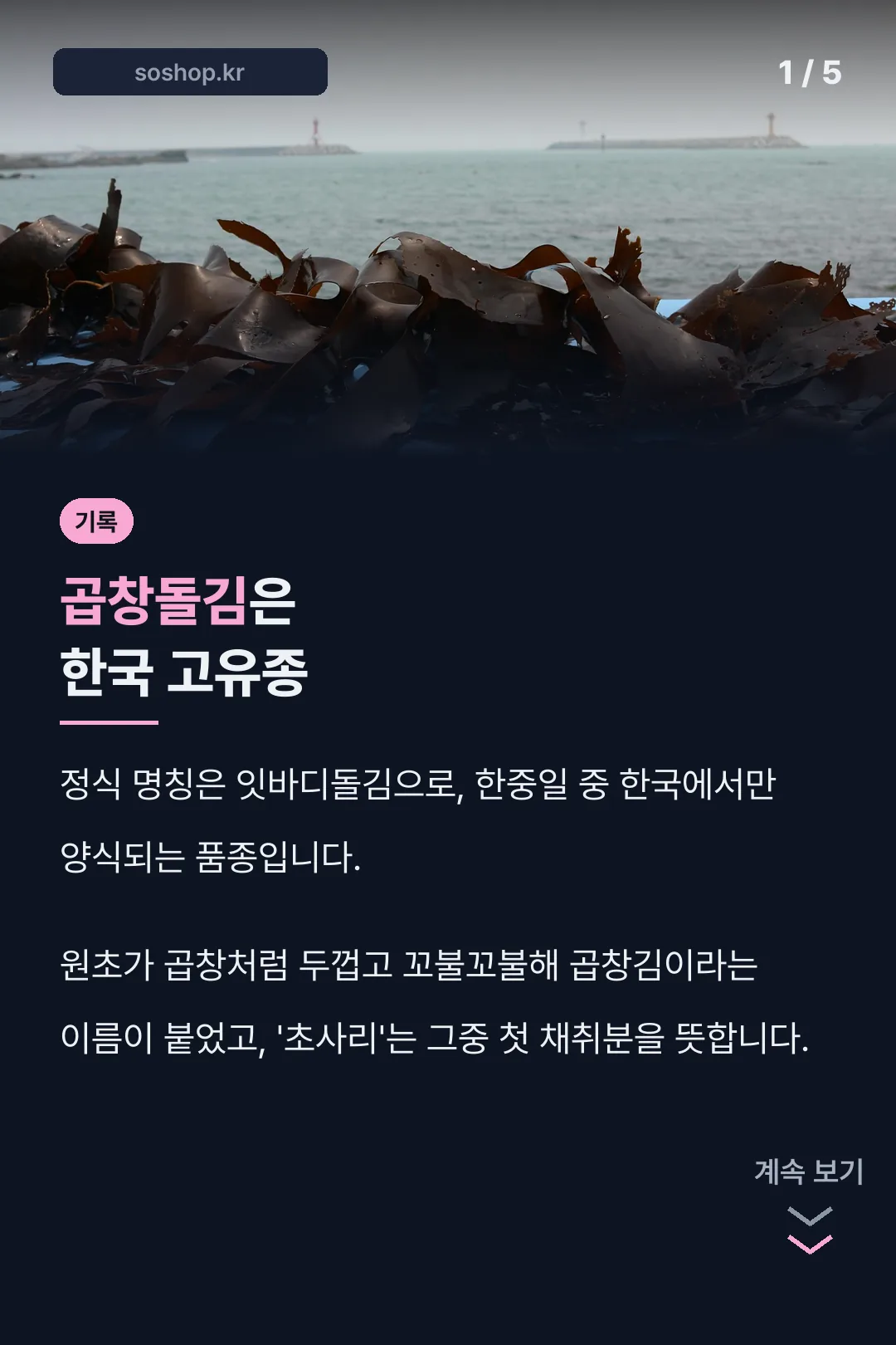 곱창돌김 한국 고유종