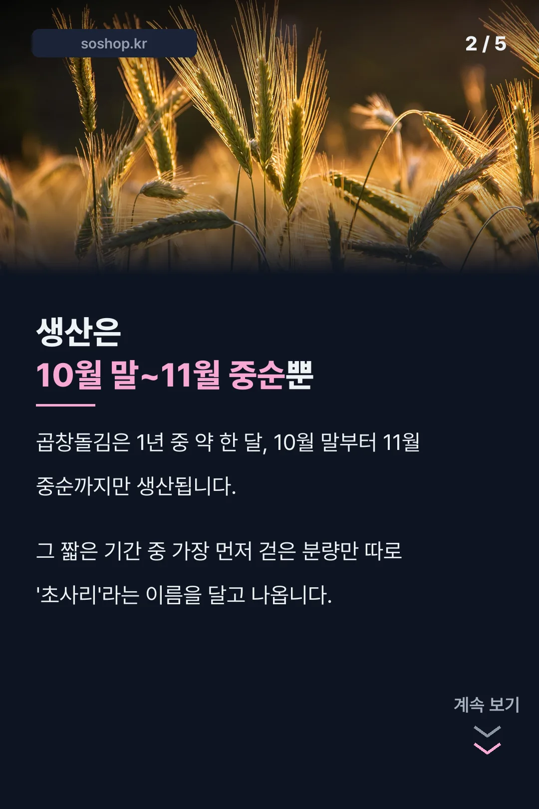생산 기간 10월말~11월중순
