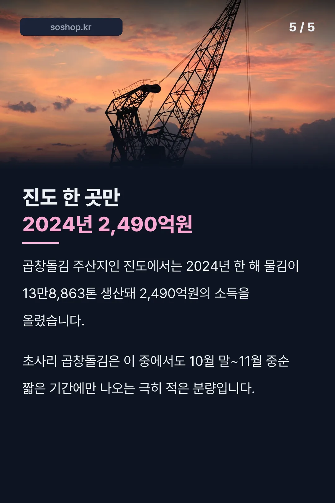 진도 물김 생산 규모
