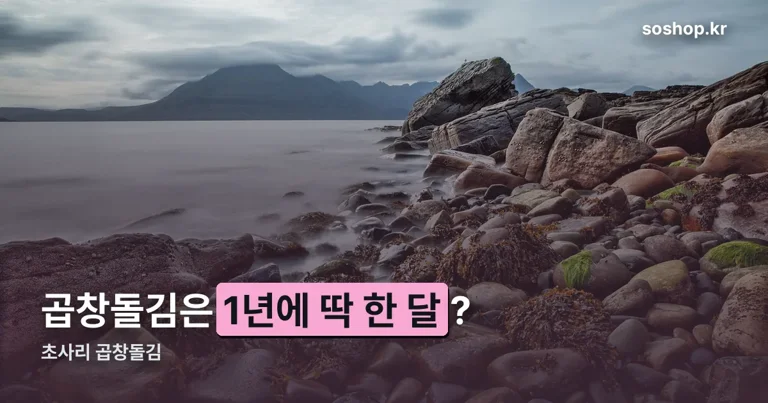 초사리 곱창돌김 정리 썸네일