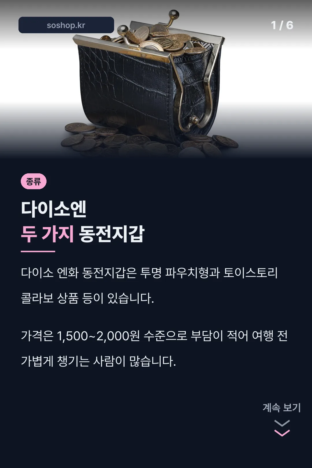 다이소 동전지갑 두 종류