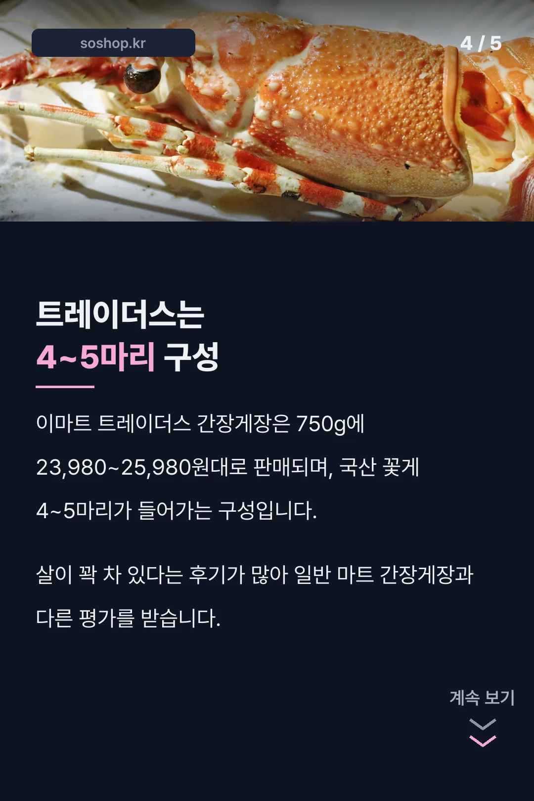 트레이더스 4~5마리 구성