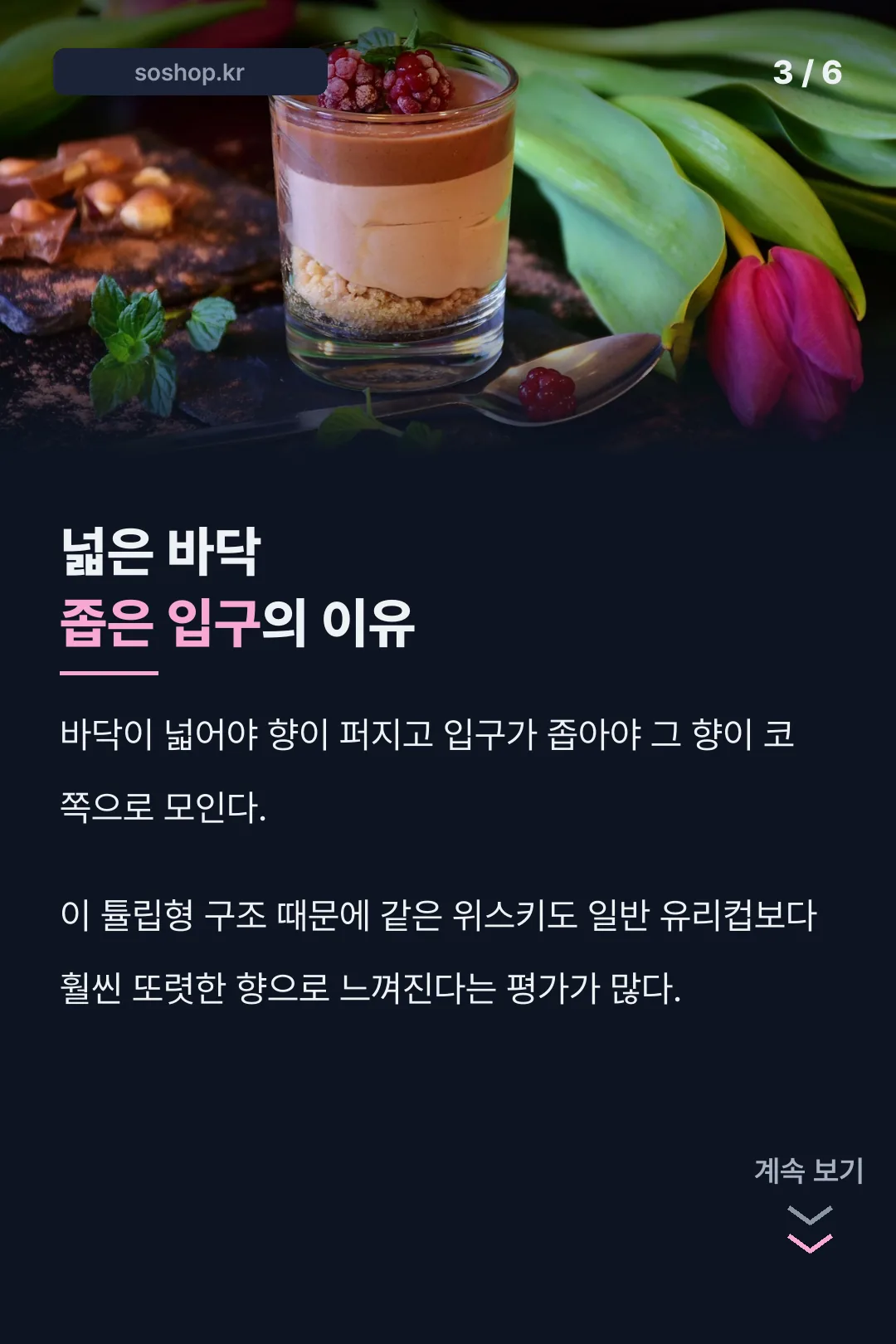 튤립 모양 구조의 이유