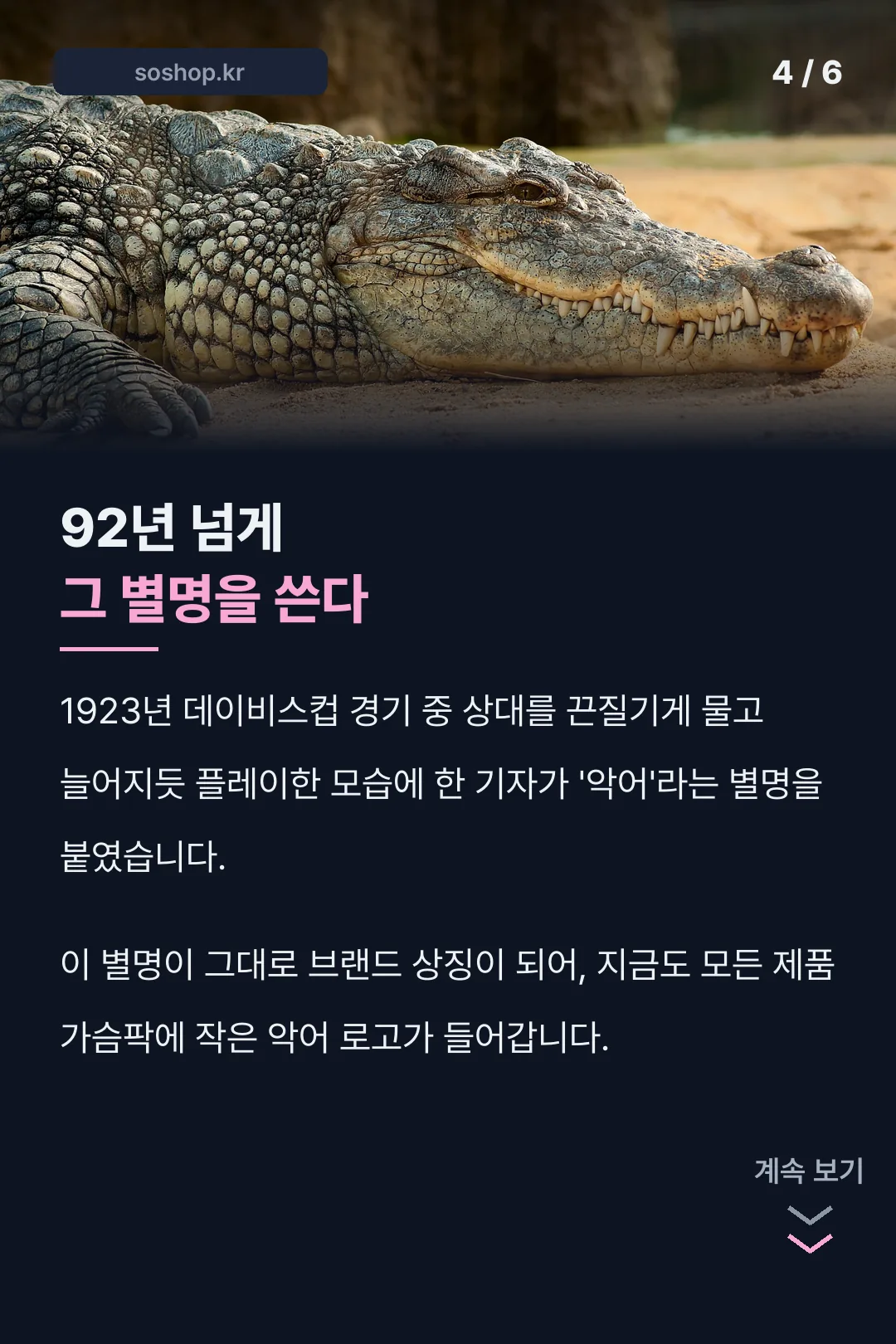 악어 로고의 유래