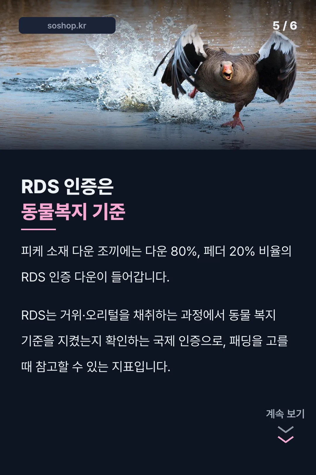 RDS 인증 다운 설명
