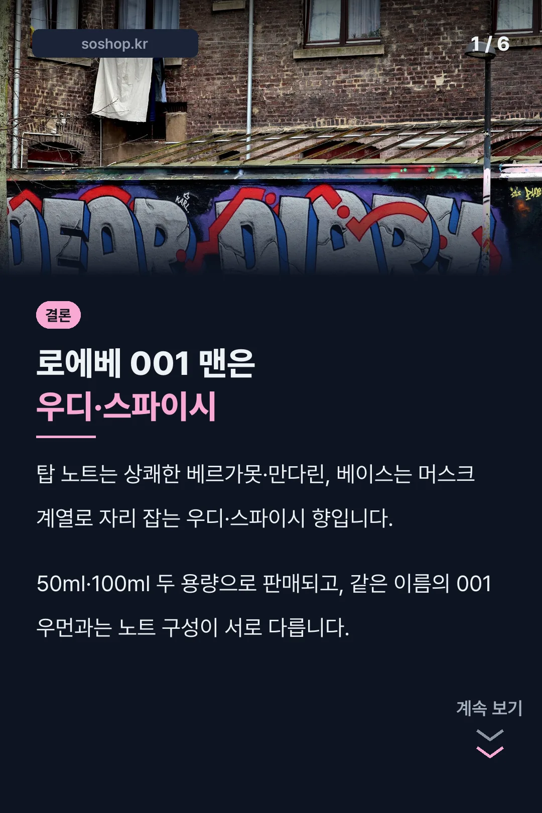 로에베 001 맨 향 소개