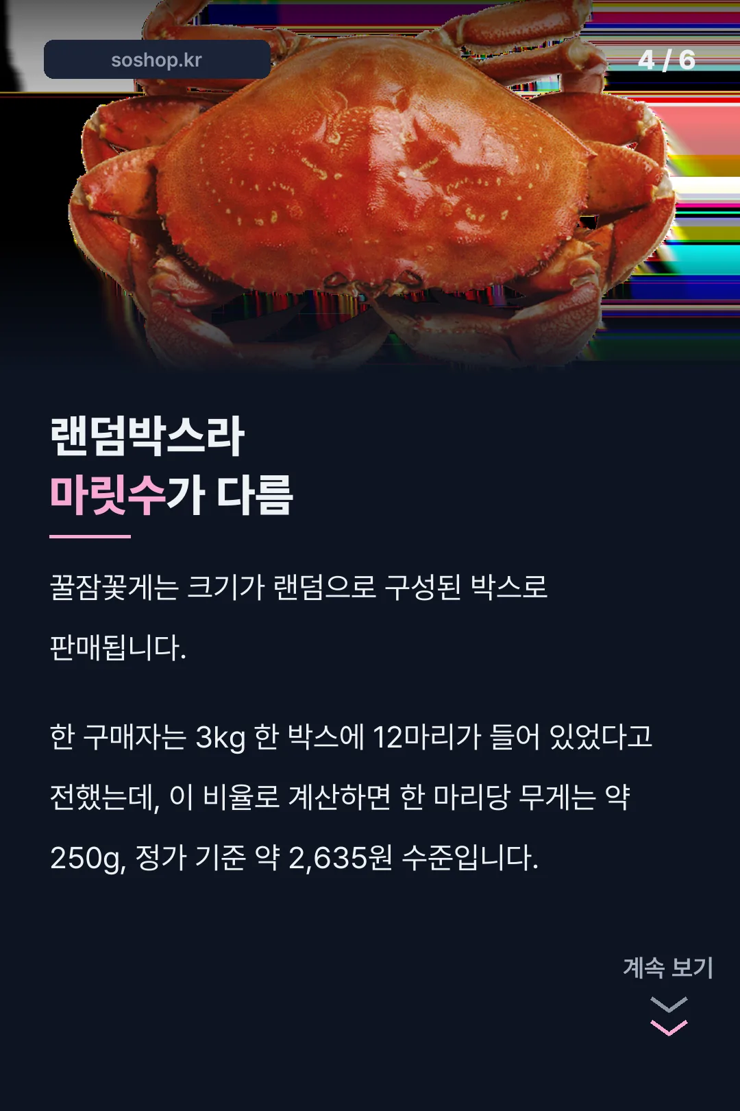 랜덤박스 마릿수