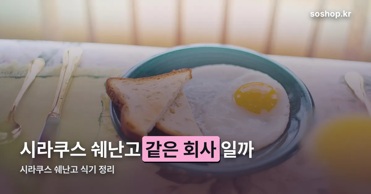시라쿠스 쉐난고 정리 썸네일